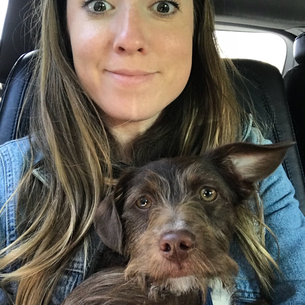 Meet your Posher, Molly
